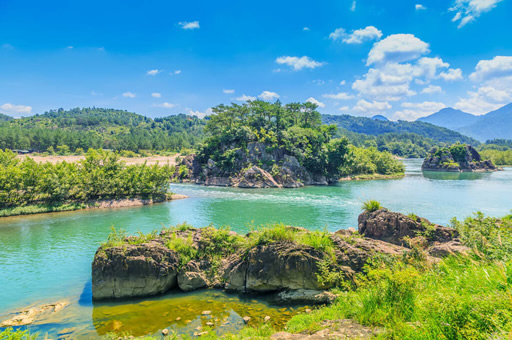 浙江教育行业中有哪些知名的猎头公司？